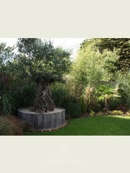 Bespoke planters 