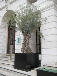 Bespoke planters 